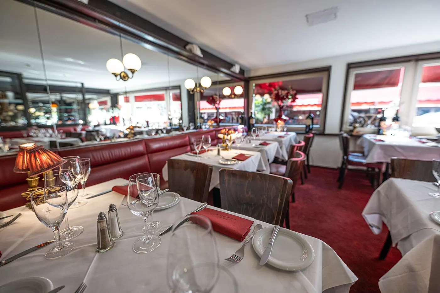 Im Katzen-Café im Bremer Schnoor